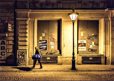 Budapest-2014---Diese-Schuh