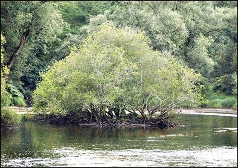 Dordogne-2010-Ohne-Titel-01