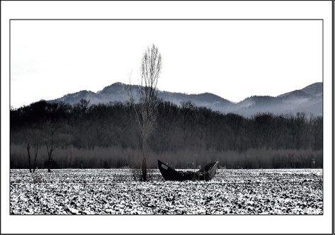 Freiburg-2009-Boot-bei-Opfi