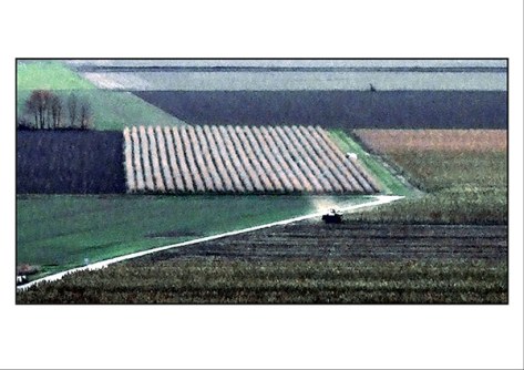 Freiburg-2009--Landschaft-b