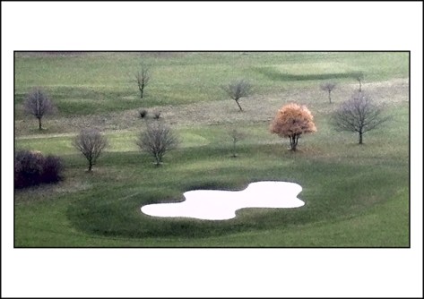 Freiburg-2009--Landschaft-b