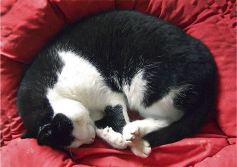 Freiburg-2011-Sunny-02-auf-