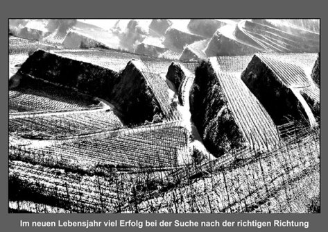 Gruss-Lebensjahr-01-Suche-r