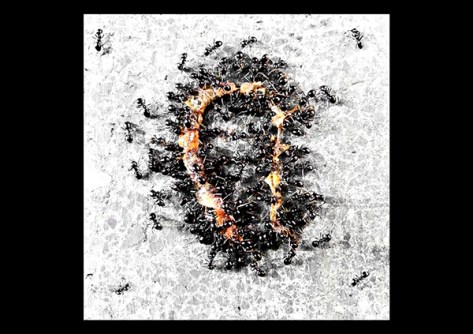 Irgendwo-2008--Game-over-03