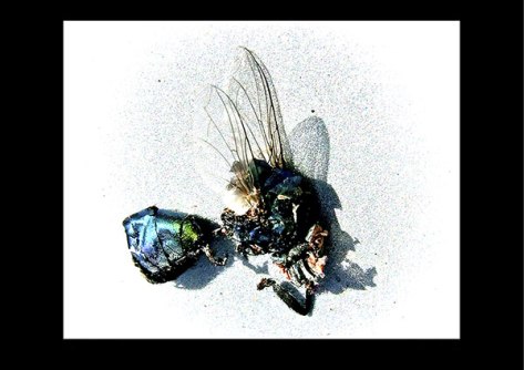 Irgendwo-2008--Game-over-Po