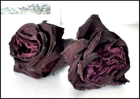 Irgendwo-2008-Ohne-Titel-08