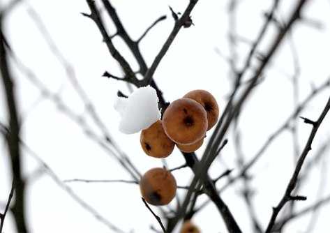 Irgendwo-2011-Ohne-Titel-07