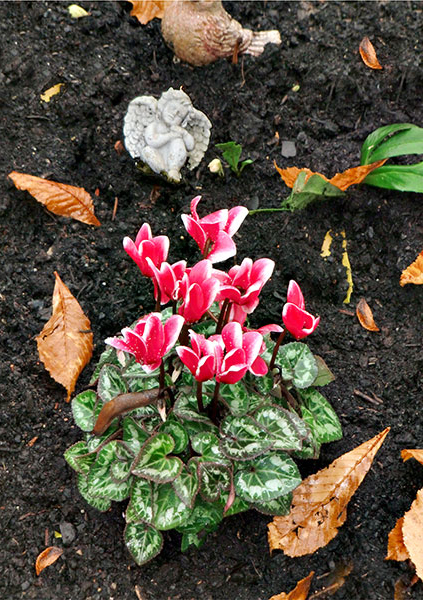 Irgendwo-2013--Ohne-Titel-0