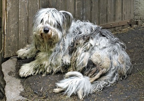 Piemont-2015-Ohne-Titel-05-