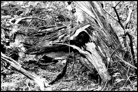 Piemont-2015-Ohne-Titel-07-