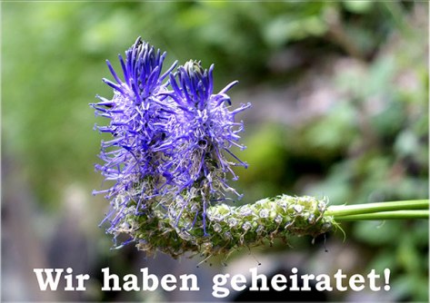 Piemont-2015-Wir-haben-gehe