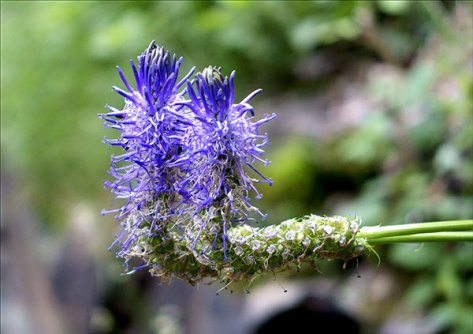 Piemont-2015-Wir-heiraten-P