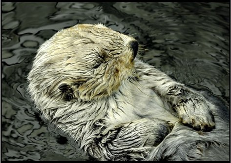 Portugal-2011-Lissabon-10-I