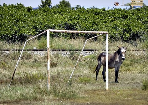 Portugal-2011-Nach-dem-Spie