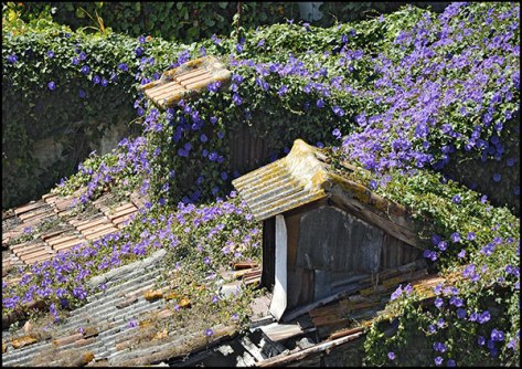 Portugal-2011-Porto-Ohne-Ti