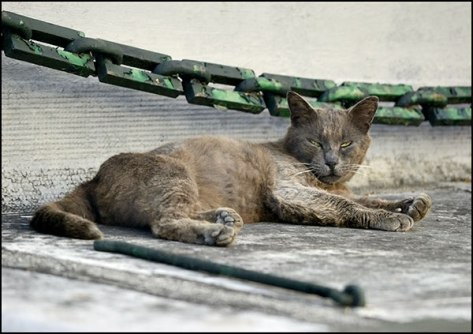 Portugal-2011-Porto-ohne-Ti