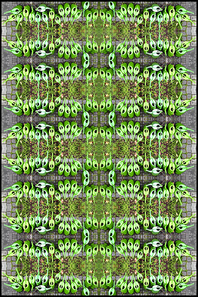 Stuttgart-2013-340-Königski