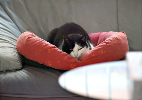 Stuttgart-2014-Sunny-01-Pos