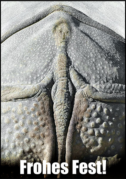 Stuttgart-2015-16-Frohes-Fe