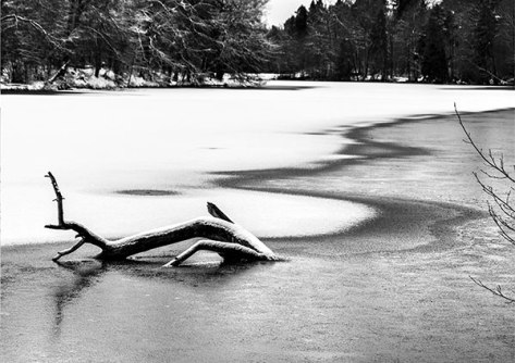 Stuttgart-2015-Am-Bärensee-