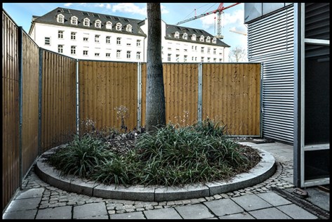 Stuttgart-2015-Dorotheenquartier-24-Druck-40x60-Baum-vor-Bauzaun