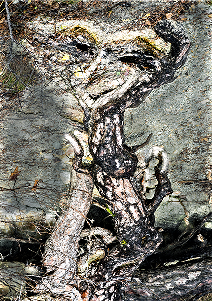 Tübingen-2015-Sehnsucht-nac