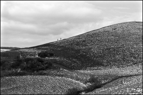 Freiburg 2007 Badberg 2007_06_05 schwarz_weiss mehr geschärft als 2007_05_03