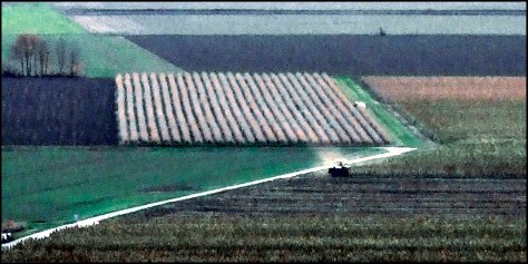Freiburg 2009 Landschaft bei Ehrentrudiskapelle 05 Druck 2009_11_25