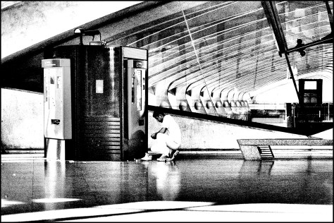 Lyon 2008 Hommage a Calatrava01 2008_08_28