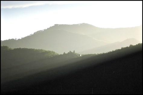 Ortasee 2016 Ohne Titel 01