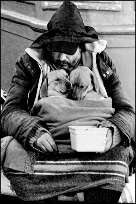 Paris 2010 Stadtstreicher mit Hunden 40x60 schwarz_weiss 2010_04_12 Kopie