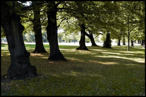 Stuttgart 2015 Im Rosensteinpark 01 40x60 Kopie