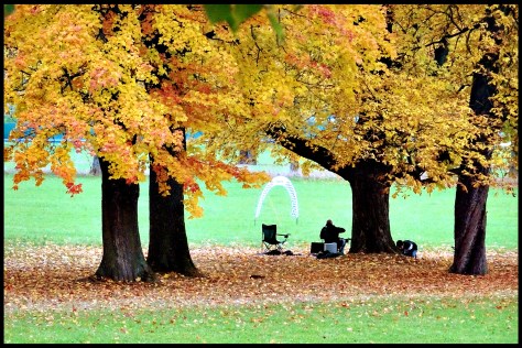 Stuttgart 2015 Im Rosensteinpark 02 40x60