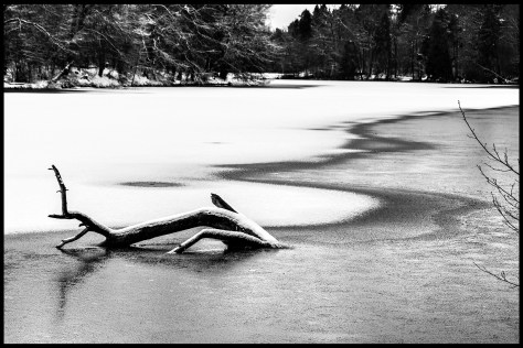 Stuttgart 2015 Verschneite Wasserfläche 02 Druck 40x60