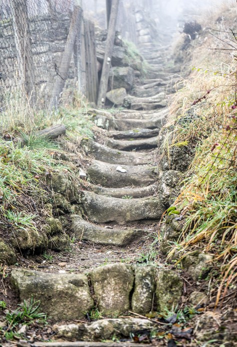 Tübingen 2015 Weinbergtreppe Kopie