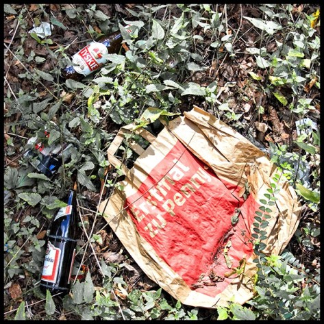 Stuttgart-2018-Immer-erst-z